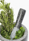 Herbal Remedies For Dandruff 